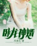 卧龙神婿