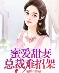 蜜爱甜妻:总裁难招架小说