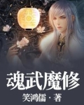 魂武魔修