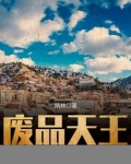 废品天王免费阅读