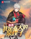 海贼王之赤犬是我叔叔