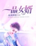 一品女婿 道家九爷