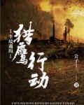 全境通缉猎鹰行动小说