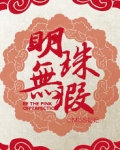 明珠意思