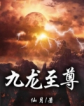 九龙至尊txt