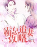 霸总追妻日常全文免费阅读