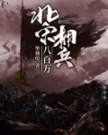 北宋拥兵八百万txt