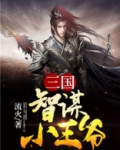 三国：智谋小王爷