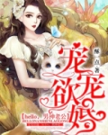 宠宠欲婚：hello，男神老公