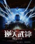 逆天武神 暗叶星辰