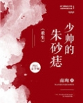 少帅的朱砂痣[重生] 第528章