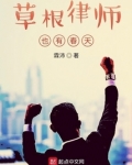 草根律师也有春天TXT电子书全集下载