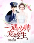 一遇少帅宠终生