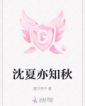 夏知禾沈知一