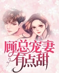 顾总宠妻有点甜