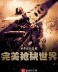 完美枪械世界