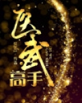 医武高手林凡