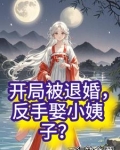开局被退婚,反手娶小姨子?
