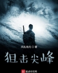 狙击尖峰对决在线观看