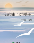 我逮捕了烂橘子免费阅读