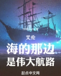 海贼王:进击的巨人小说