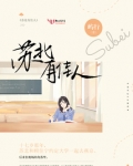苏北有佳人小说