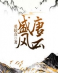 盛唐风云