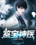 鉴宝神医叶君