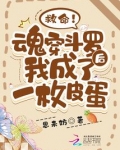 斗罗之我成了魂环