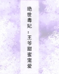 鬼王爷的绝世毒妃 小说