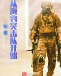 影视从海豹突击队开始全文阅读