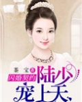 闪婚契约：陆少宠妻上天