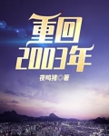 重回2003年夜鸣猪免费