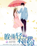 晚雨轻时不负你全文免费阅读