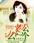娇妻预订：老公，么一个