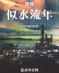 似水年华流走是哪首歌