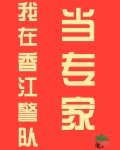 我在香江警队当专家江晚
