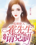 暖婚厚爱:霍先生,晚安 小说