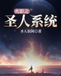 火影之圣者