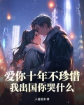 我爱你十年了