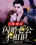 天降萌宝，闪婚老公不相识
