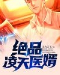 绝品凌天医婿小说