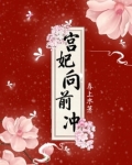 宫妃向前冲无防盗