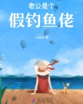 假老公是什么