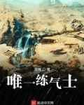 唯一练气士 小说