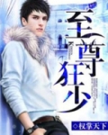 至尊狂少叶凡