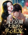 替嫁后,成了京圈大佬的掌心私宠小说