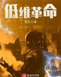 低维革命TXT下载