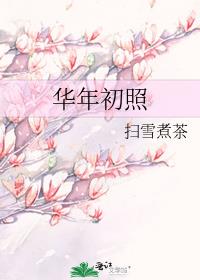 华年初照扫雪煮茶结局