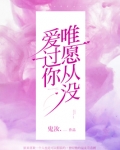 唯愿从没爱过你卫轻轻